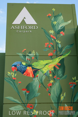 February 2019 / ASHFORD_CP_190225_032