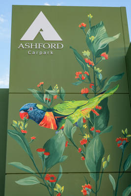 February 2019 / ASHFORD_CP_190225_032