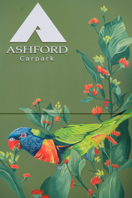 February 2019 / ASHFORD_CP_190225_033