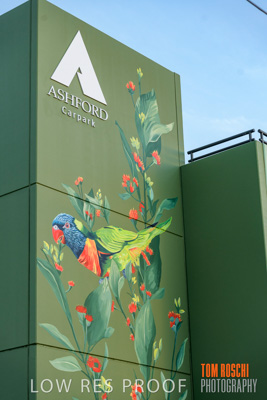 February 2019 / ASHFORD_CP_190225_034