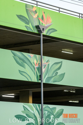 February 2019 / ASHFORD_CP_190225_035