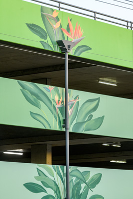 February 2019 / ASHFORD_CP_190225_035