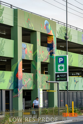 February 2019 / ASHFORD_CP_190225_036