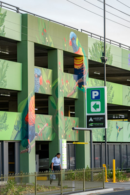 February 2019 / ASHFORD_CP_190225_036