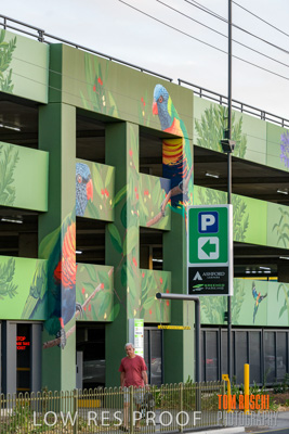 February 2019 / ASHFORD_CP_190225_037