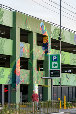 February 2019 / ASHFORD_CP_190225_037