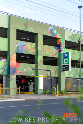 February 2019 / ASHFORD_CP_190225_040