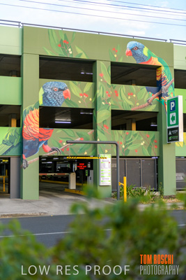 February 2019 / ASHFORD_CP_190225_044