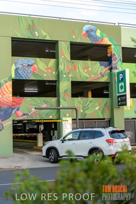 February 2019 / ASHFORD_CP_190225_045