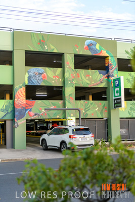 February 2019 / ASHFORD_CP_190225_046