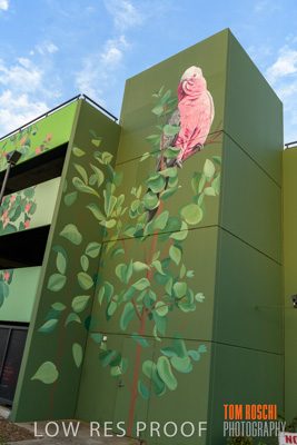 February 2019 / ASHFORD_CP_190225_051