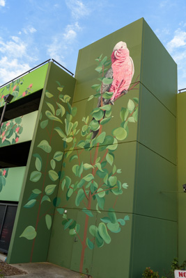 February 2019 / ASHFORD_CP_190225_051