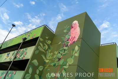 February 2019 / ASHFORD_CP_190225_052