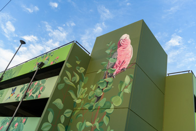 February 2019 / ASHFORD_CP_190225_052