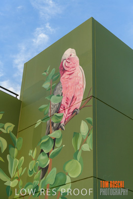 February 2019 / ASHFORD_CP_190225_053