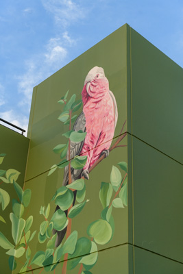 February 2019 / ASHFORD_CP_190225_053