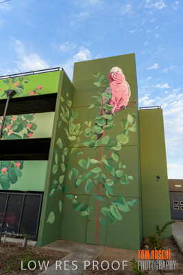 February 2019 / ASHFORD_CP_190225_054