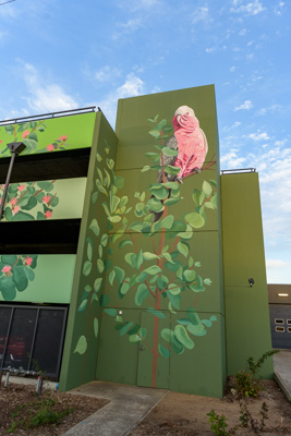 February 2019 / ASHFORD_CP_190225_054