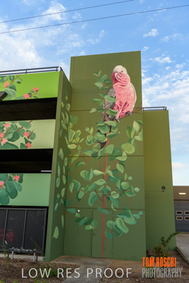 February 2019 / ASHFORD_CP_190225_055