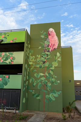 February 2019 / ASHFORD_CP_190225_055