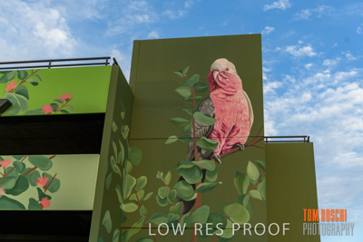 February 2019 / ASHFORD_CP_190225_056