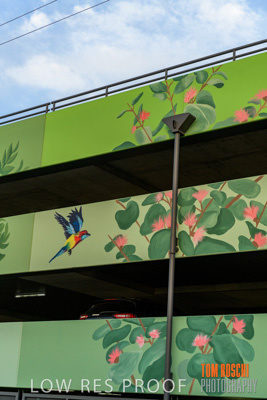 February 2019 / ASHFORD_CP_190225_057