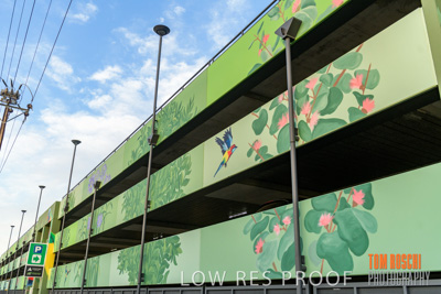 February 2019 / ASHFORD_CP_190225_058