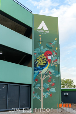 February 2019 / ASHFORD_CP_190225_059