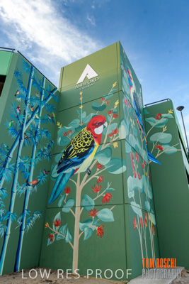 February 2019 / ASHFORD_CP_190225_061