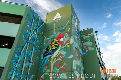 February 2019 / ASHFORD_CP_190225_062