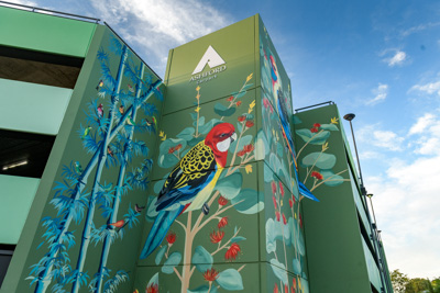 February 2019 / ASHFORD_CP_190225_062