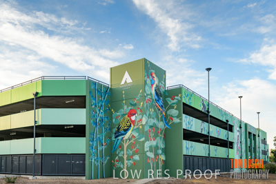 February 2019 / ASHFORD_CP_190225_063