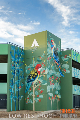 February 2019 / ASHFORD_CP_190225_065