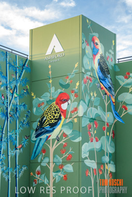 February 2019 / ASHFORD_CP_190225_066