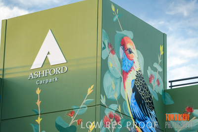 February 2019 / ASHFORD_CP_190225_067