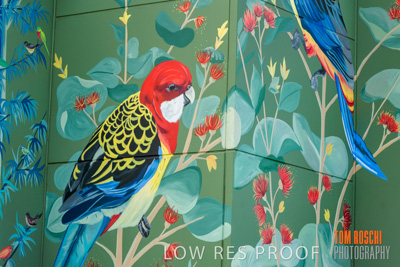 February 2019 / ASHFORD_CP_190225_068