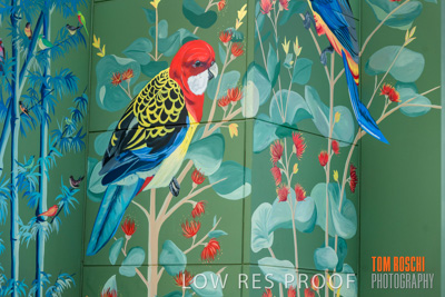 February 2019 / ASHFORD_CP_190225_069