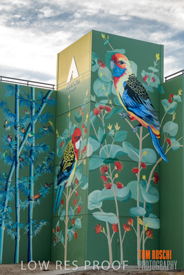 February 2019 / ASHFORD_CP_190225_070