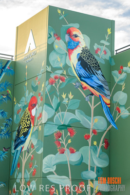 February 2019 / ASHFORD_CP_190225_071