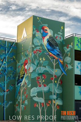 February 2019 / ASHFORD_CP_190225_072