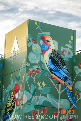 February 2019 / ASHFORD_CP_190225_073