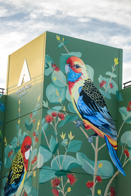 February 2019 / ASHFORD_CP_190225_073