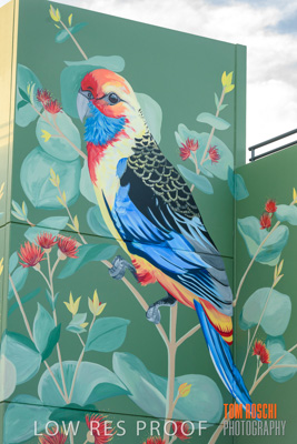 February 2019 / ASHFORD_CP_190225_074