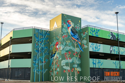 February 2019 / ASHFORD_CP_190225_075