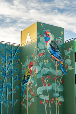 February 2019 / ASHFORD_CP_190225_077