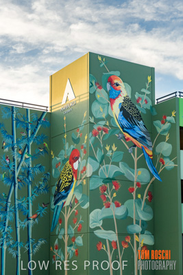 February 2019 / ASHFORD_CP_190225_077