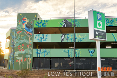 February 2019 / ASHFORD_CP_190225_080