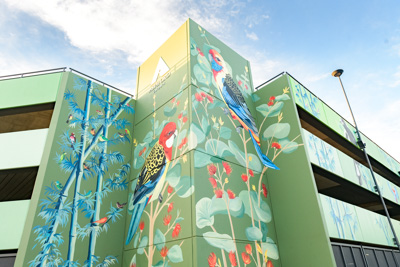 February 2019 / ASHFORD_CP_190225_081