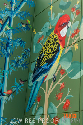 February 2019 / ASHFORD_CP_190225_082