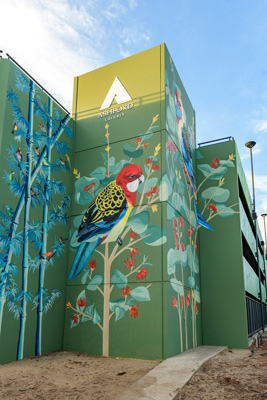 February 2019 / ASHFORD_CP_190225_083